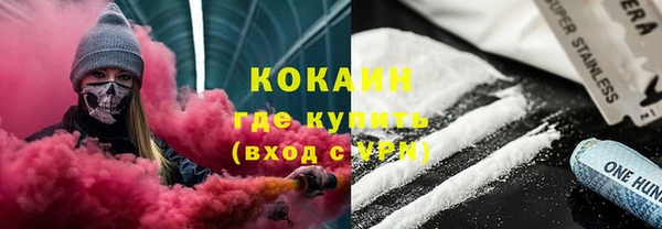 твердый Алзамай