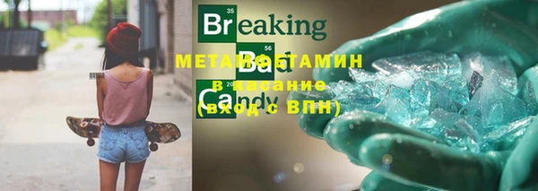 индика Аркадак