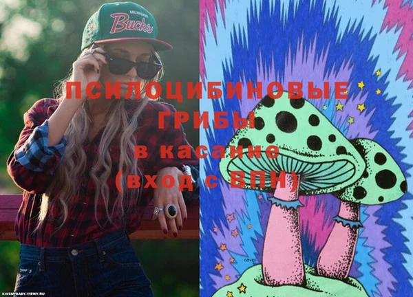 индика Аркадак