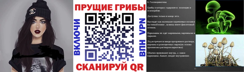 Галлюциногенные грибы Psilocybine cubensis  Осинники 